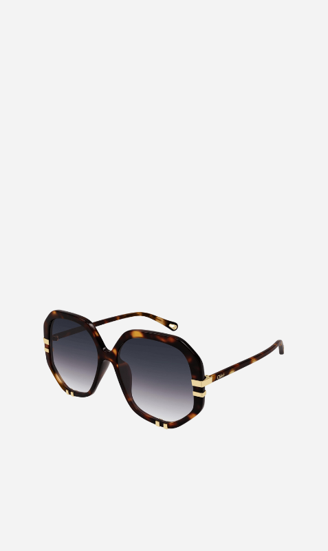 Chloe havana shop sunglasses
