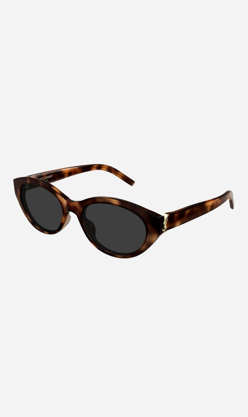 Saint Laurent | SLM148F003 - Havana