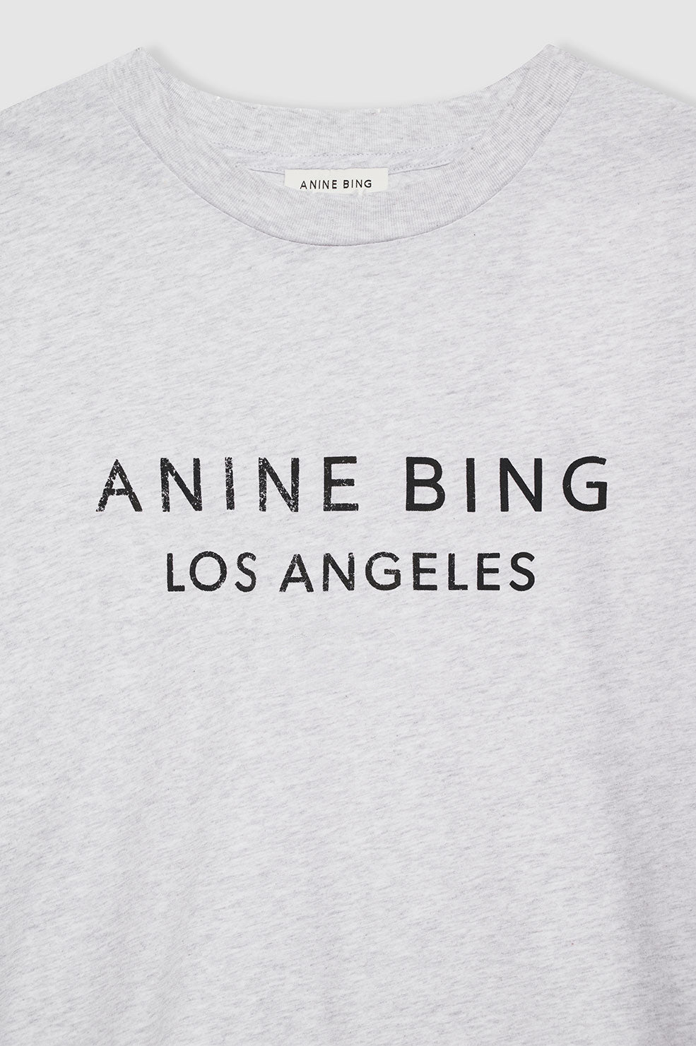 Anine Bing | Myers Tee Serif NY - Washed Heather Grey