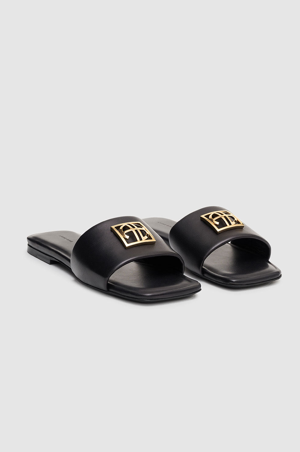 Anine Bing | Ria Slides Gold Hardware - Black