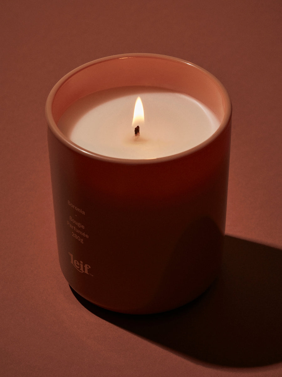 Leif | Boronia Candle - 280g