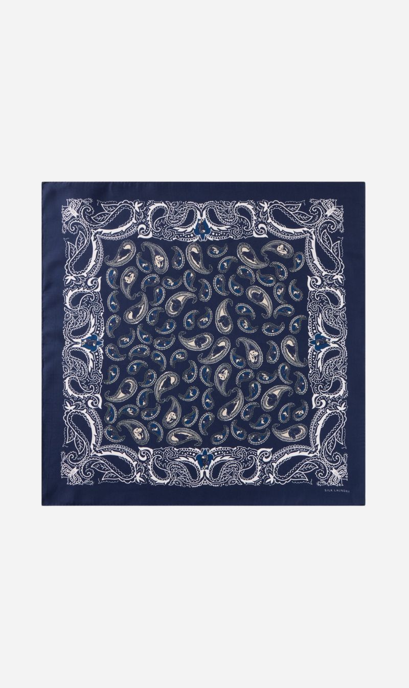 Silk Laundry | Scarf - Hounds Paisley