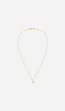 Zoe & Morgan | Nina Necklace - Gold