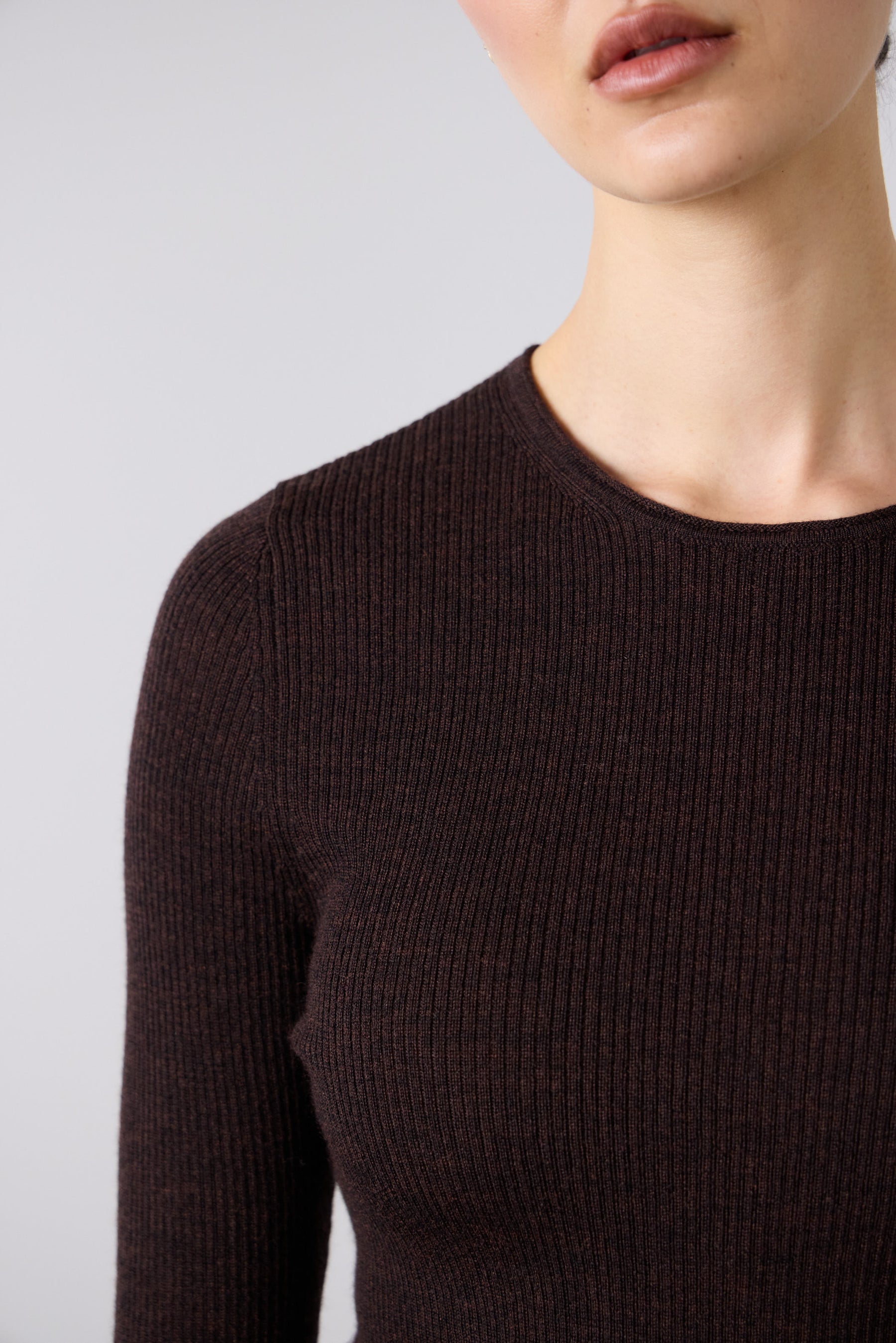 Laing | Max Ribbed Crew - Mocha